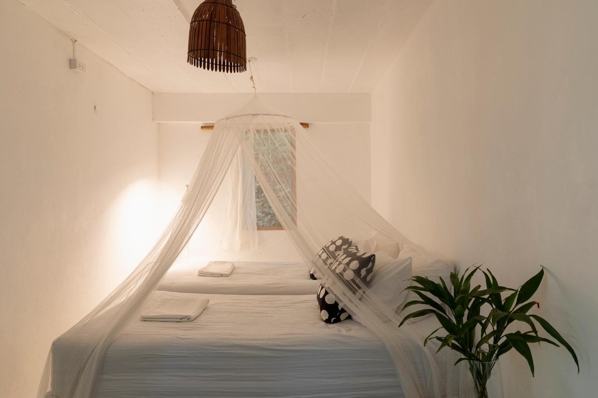 Coconut Beach Bungalows Chaloklum Exteriér fotografie